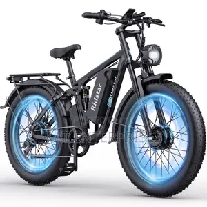 Electric Bicycle