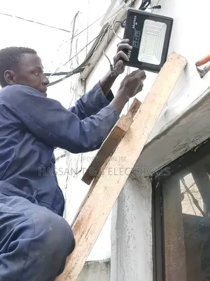 Professional Electrician