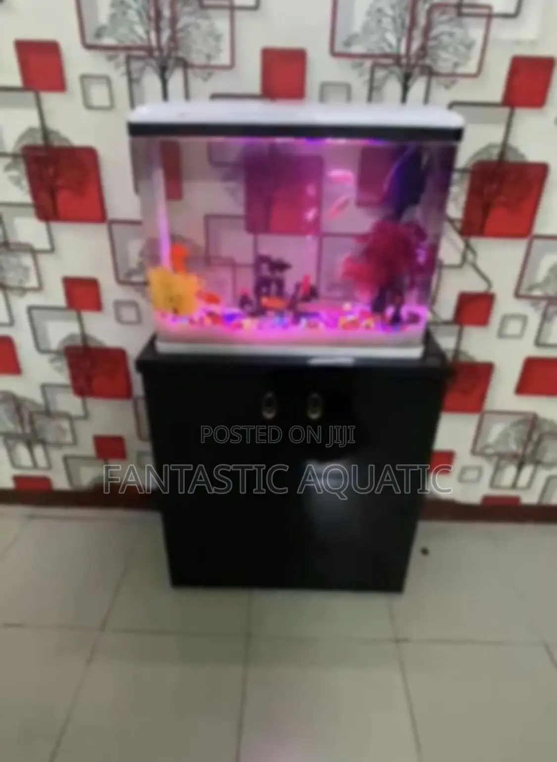 64 Litres Aquarium Complete Set