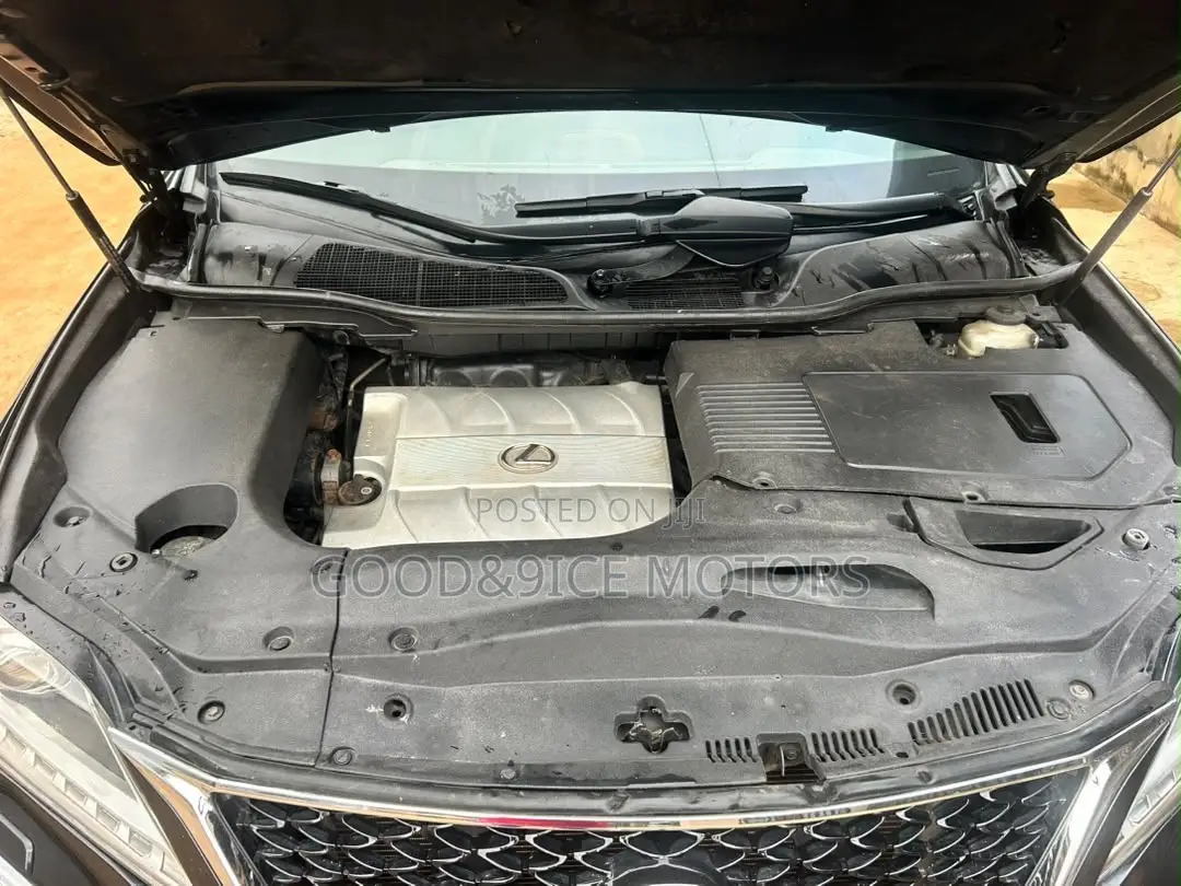 Lexus RX 2010 Black