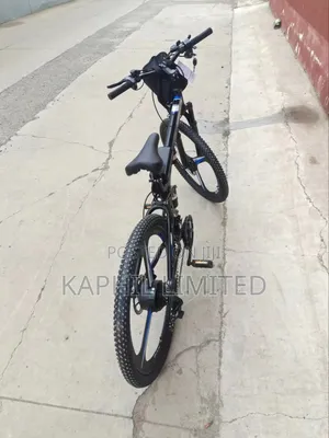 Lithium Battery Electric Bicycle
