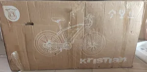 Lithium Battery Electric Bicycle