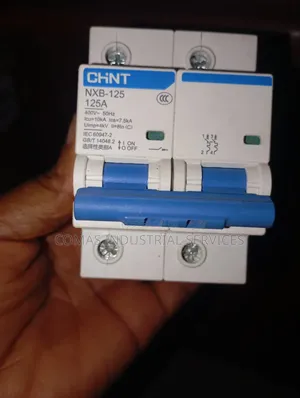 Original CHINT MCB NXB-125 125A 2p Circuit Breaker
