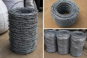 Galvanized Barbed Wire/ Security Fence Wire