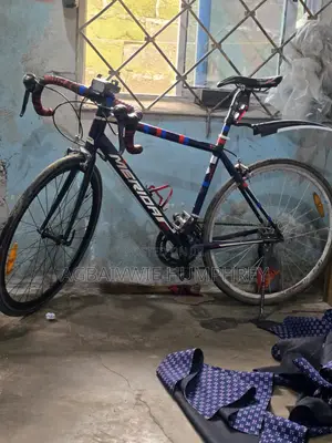 Bike Name: Merida Ride 88