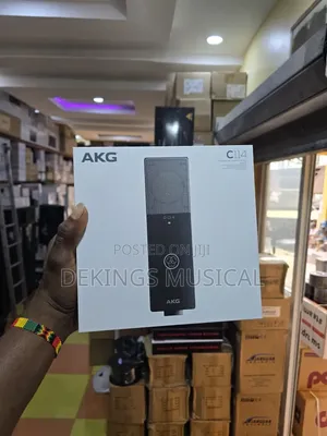 AKG C114 Professional Large-Diaphragm Condenser Microphone