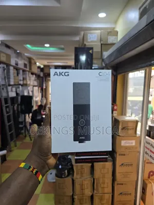 AKG C114 Professional Large-Diaphragm Condenser Microphone