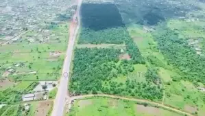 ✅palm Oil Plantation Farm and Fish Farm for Sale*✅