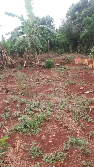 Land 50/100