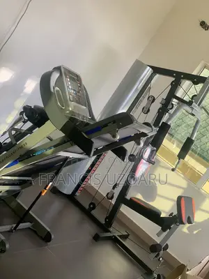 1 Station Gym and Treadmill Combo
