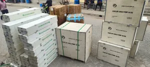 Eco Flow Solar AC/Dc Pump