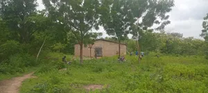 2 Hectares of Land at Benin Republic