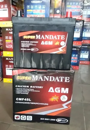 12v45ah Super Mandate Battery