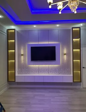 Television Unit