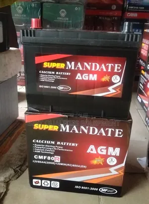 12v80ah Super Mandate