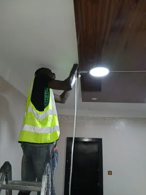 Professional Electrician