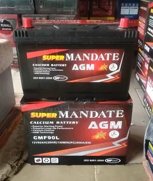 12v90ah Super Mandate Battery