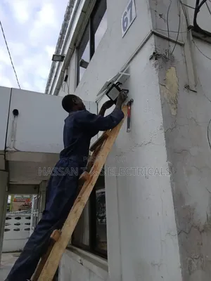Professional Electrician