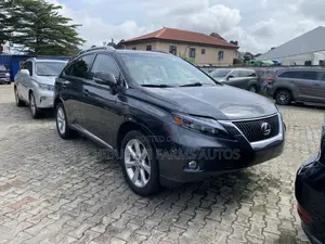 Lexus RX 2010 Gray