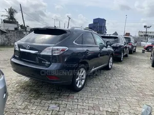 Lexus RX 2010 Gray