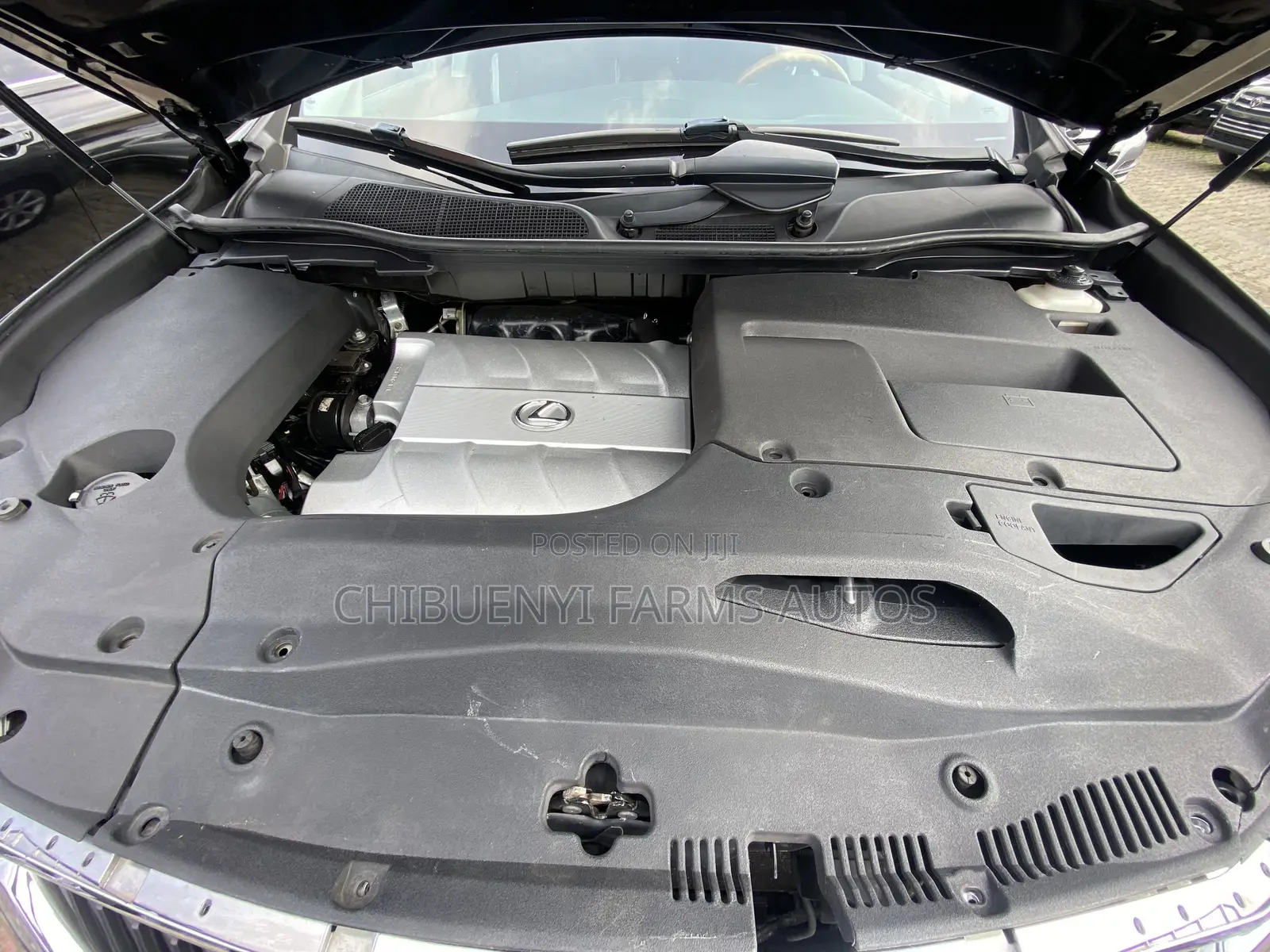Lexus RX 2010 Gray