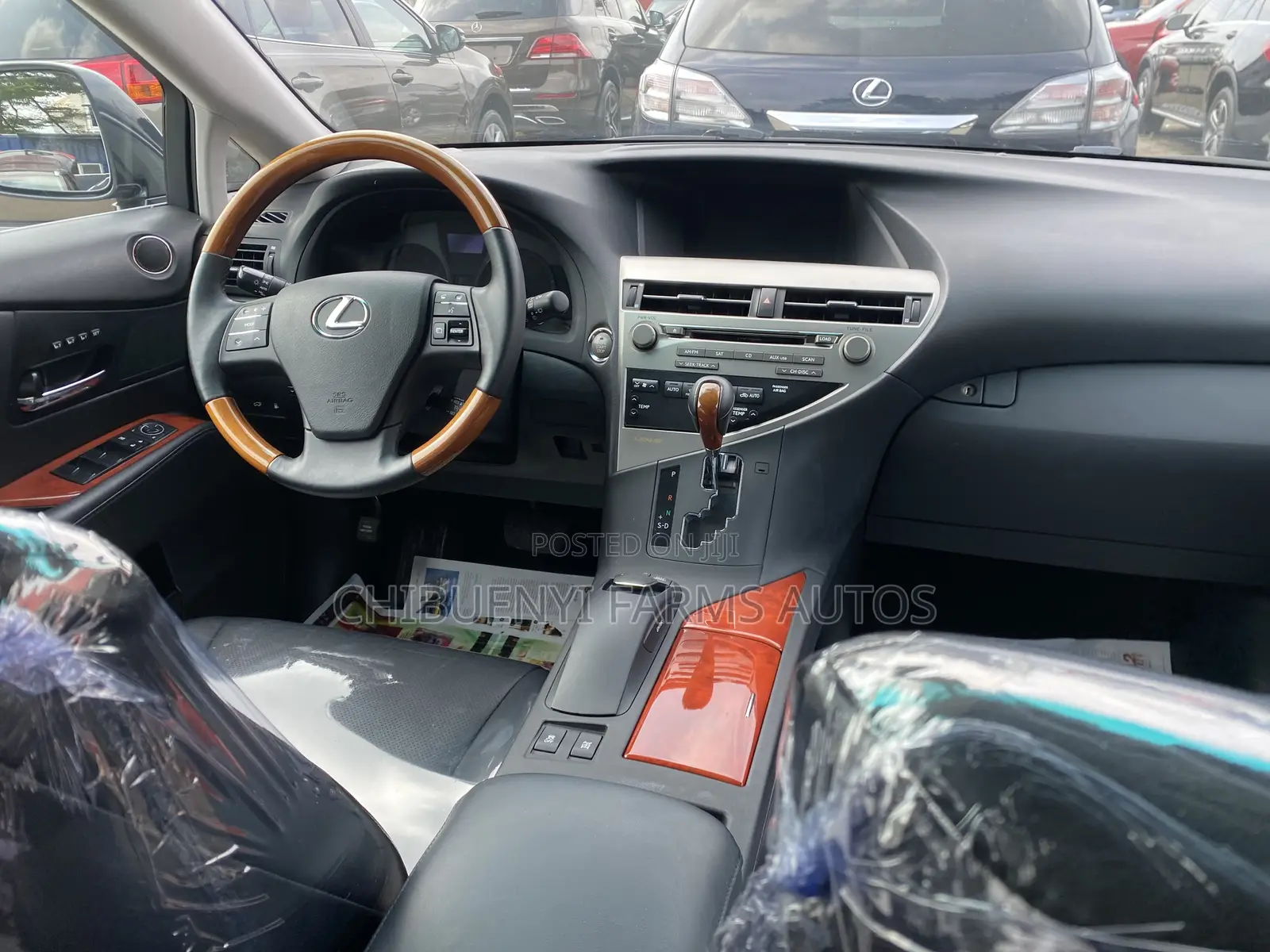 Lexus RX 2010 Gray