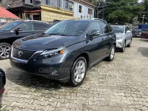 Lexus RX 2010 Gray