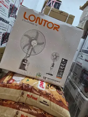 Lontor 18inch Rechargeable Standing Water Mist Fan