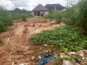 50×50 Table Land for Sale at Lucky Avenue, Owanta, Agbor – ₦10 Million
