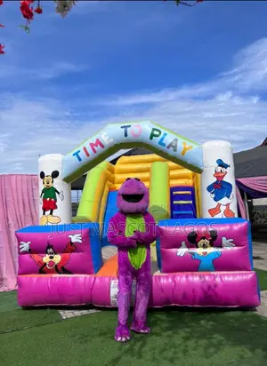 Bouncing Castle