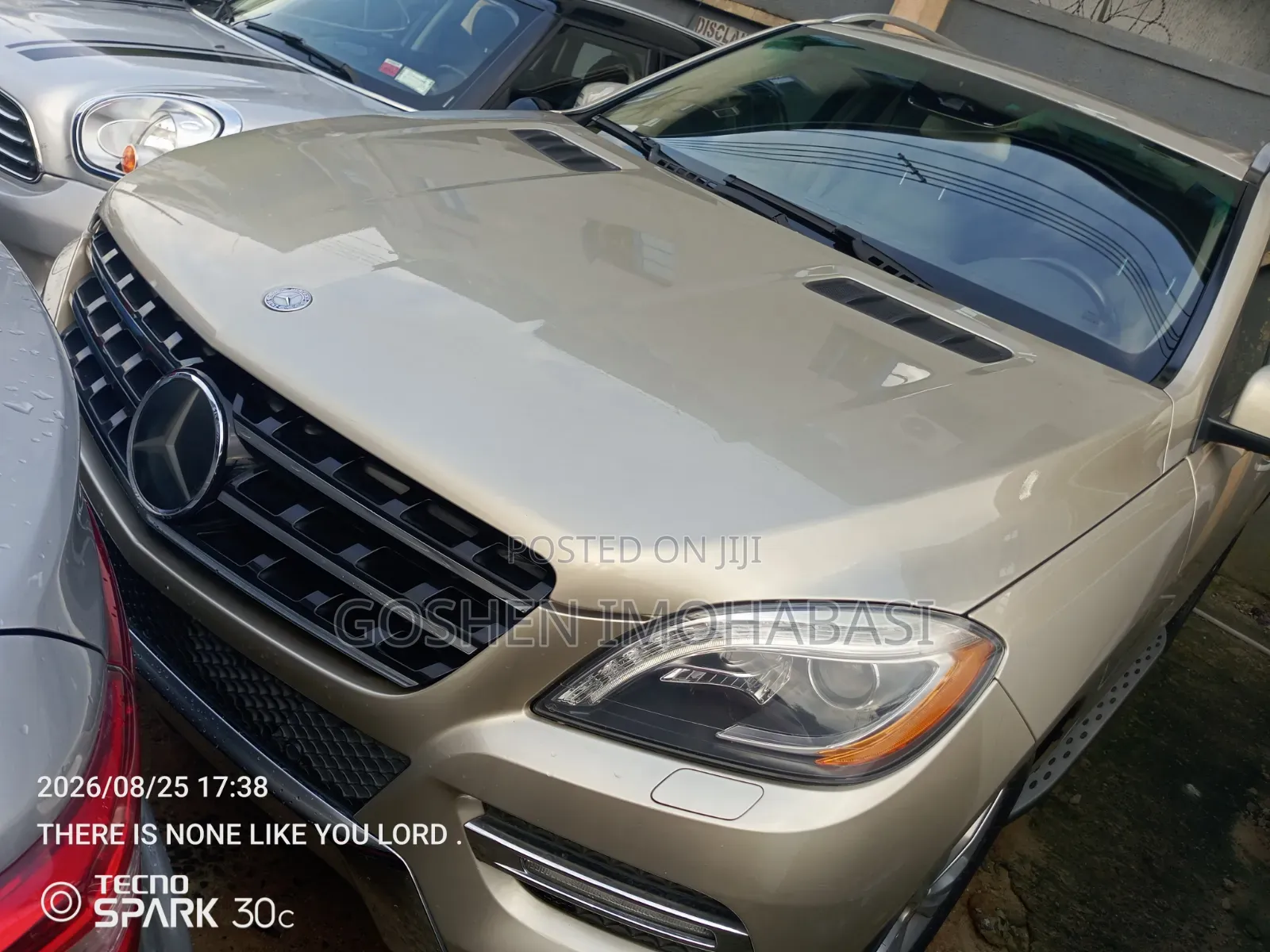 Mercedes-Benz M Class 2013 Gold