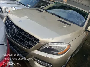 Mercedes-Benz M Class 2013 Gold