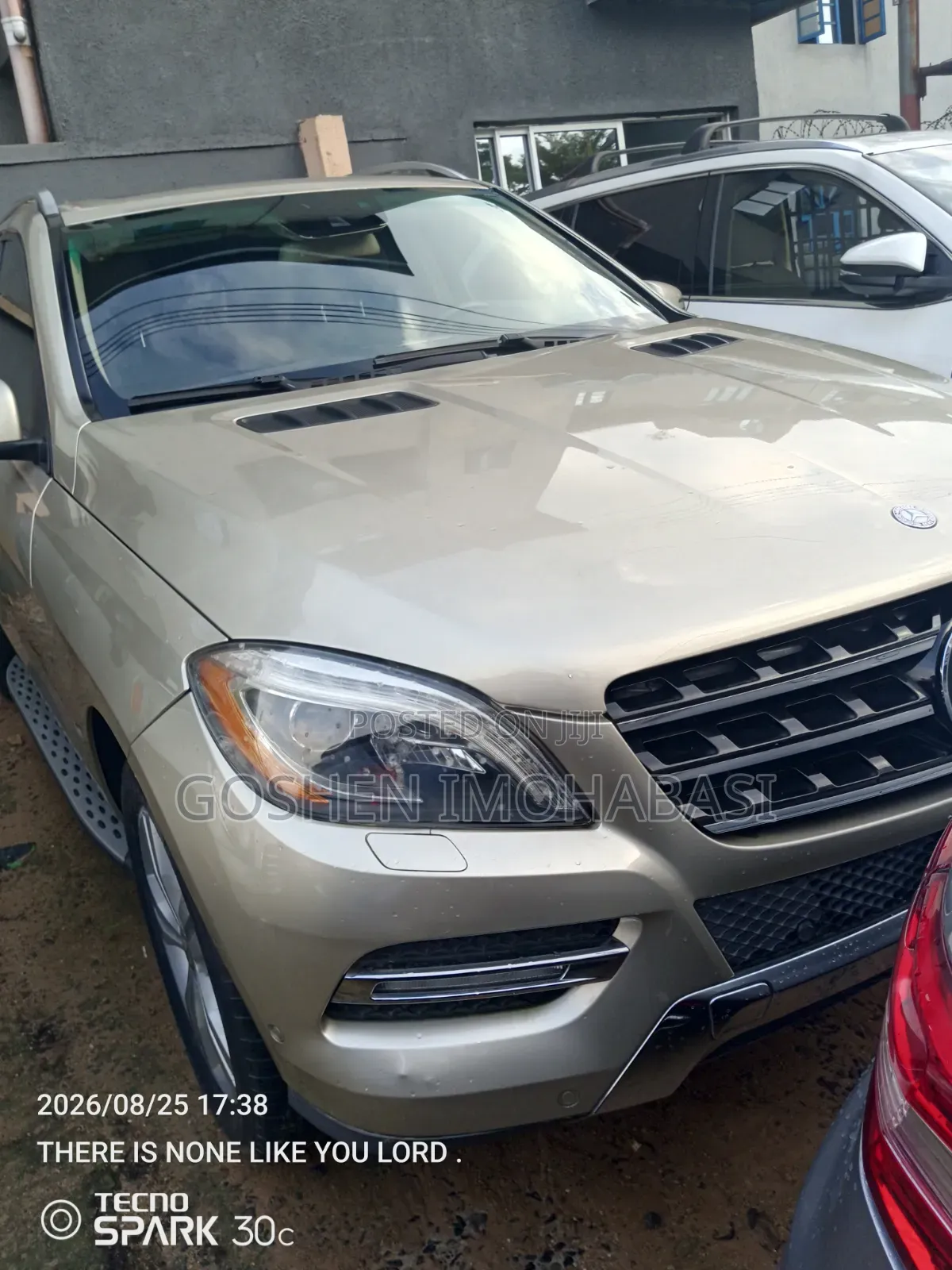 Mercedes-Benz M Class 2013 Gold