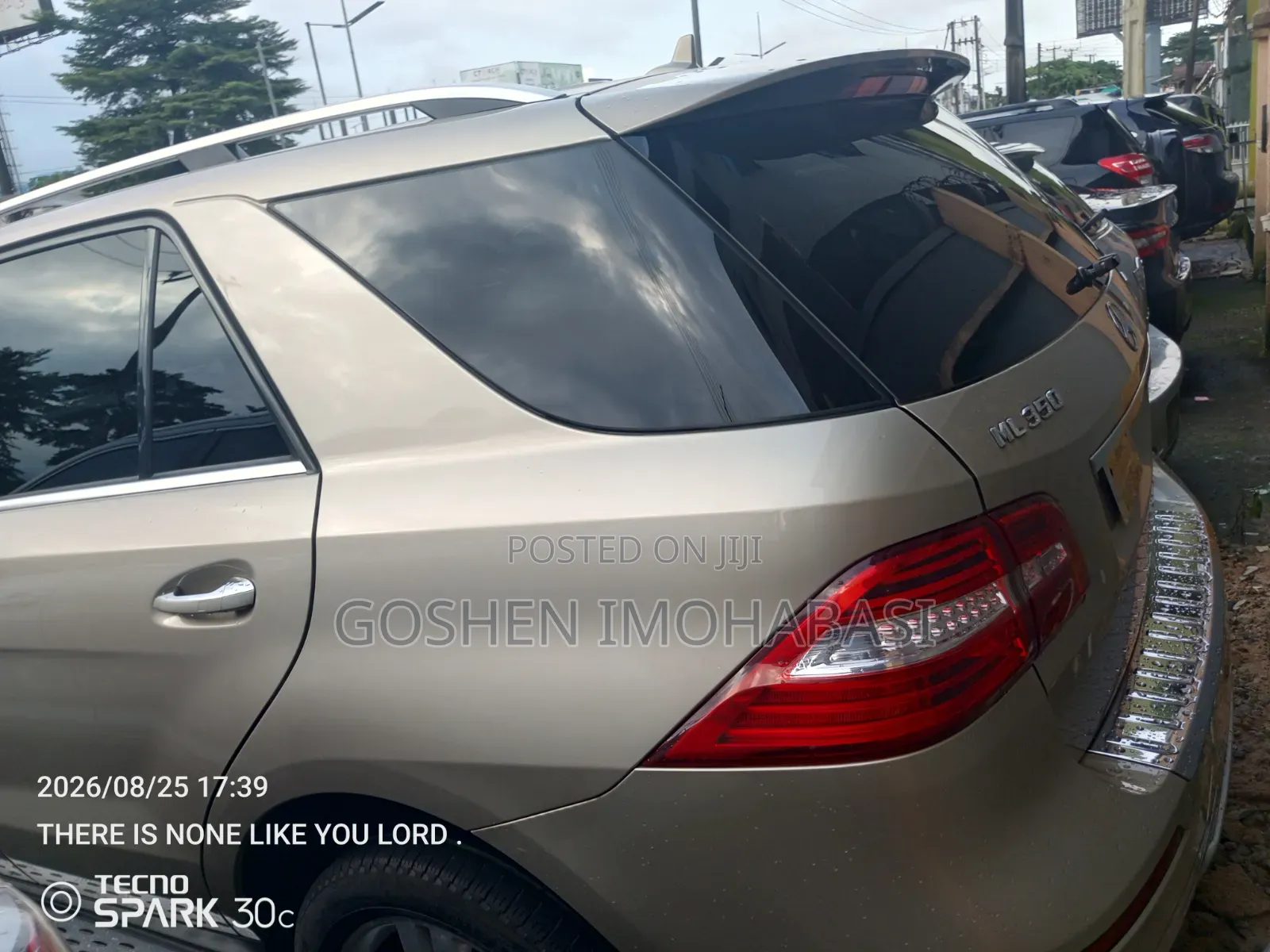 Mercedes-Benz M Class 2013 Gold
