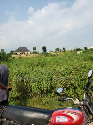 Standard 2plot of Land for Sale at Mile 8
