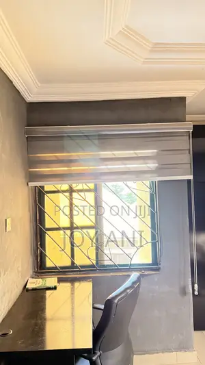 Window Blinds