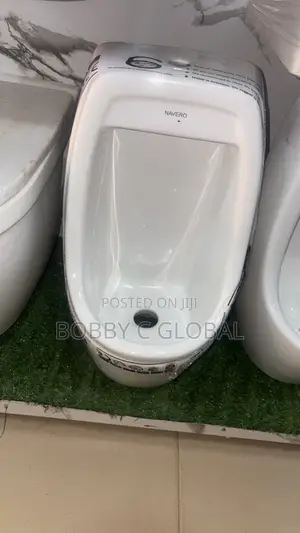 Normal Urinal