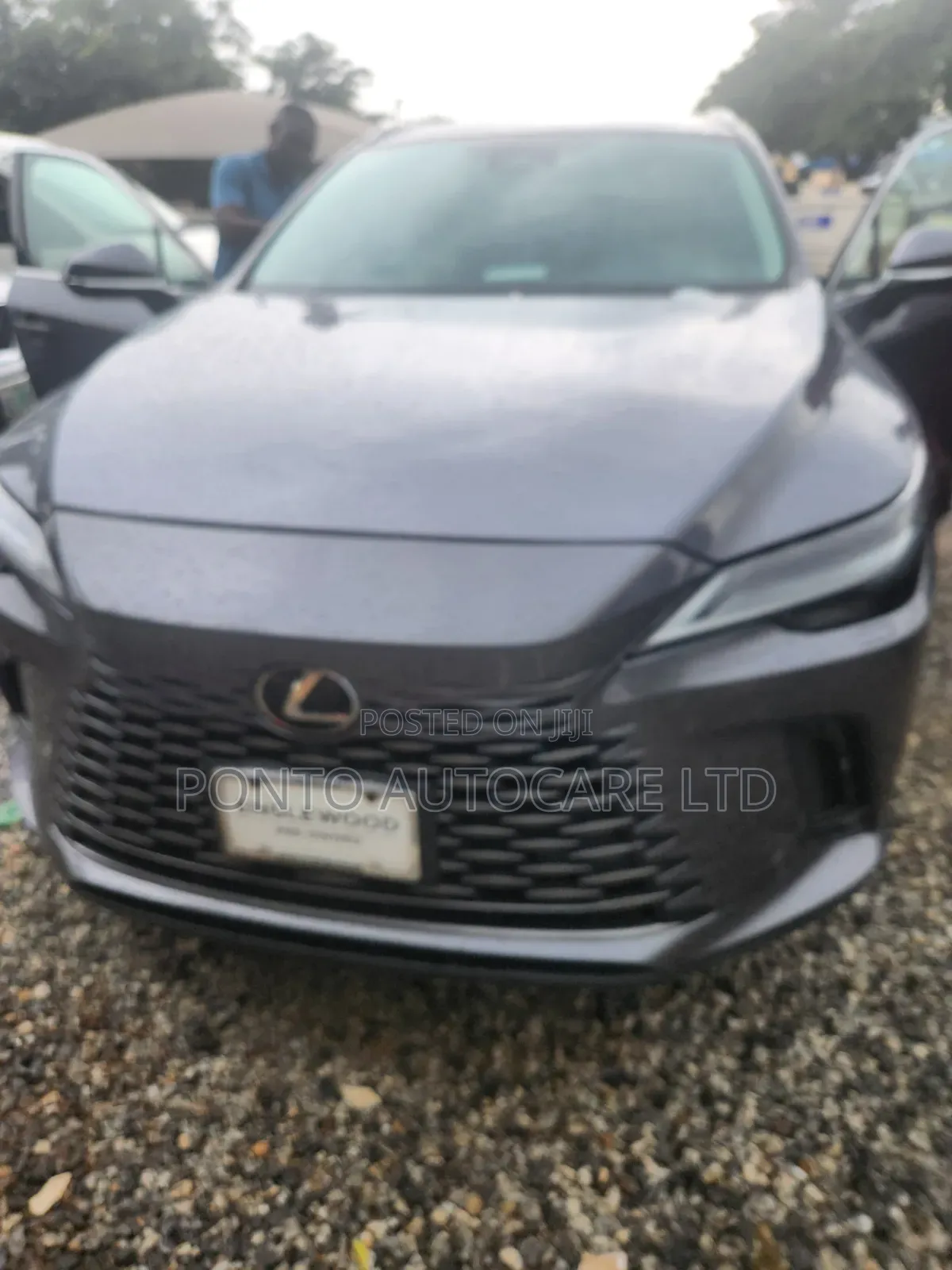 Toyota Corolla 2024 Gray