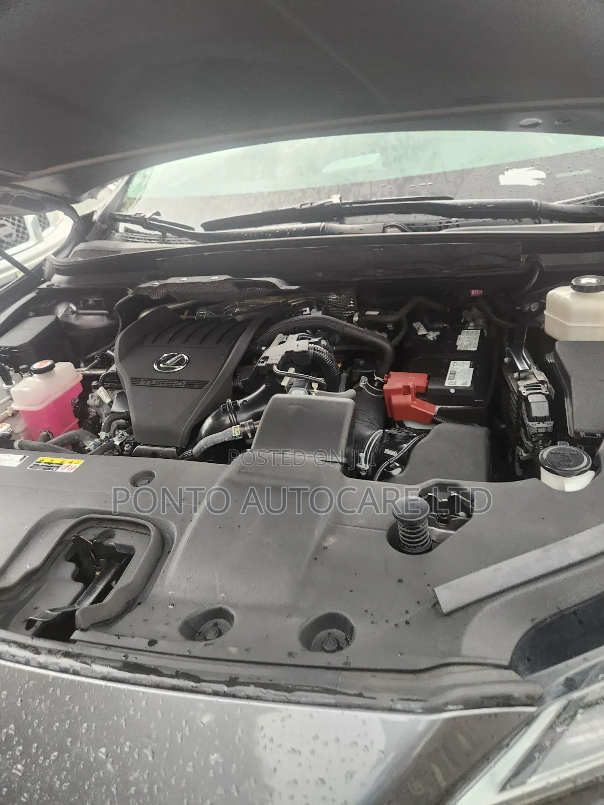 Toyota Corolla 2024 Gray
