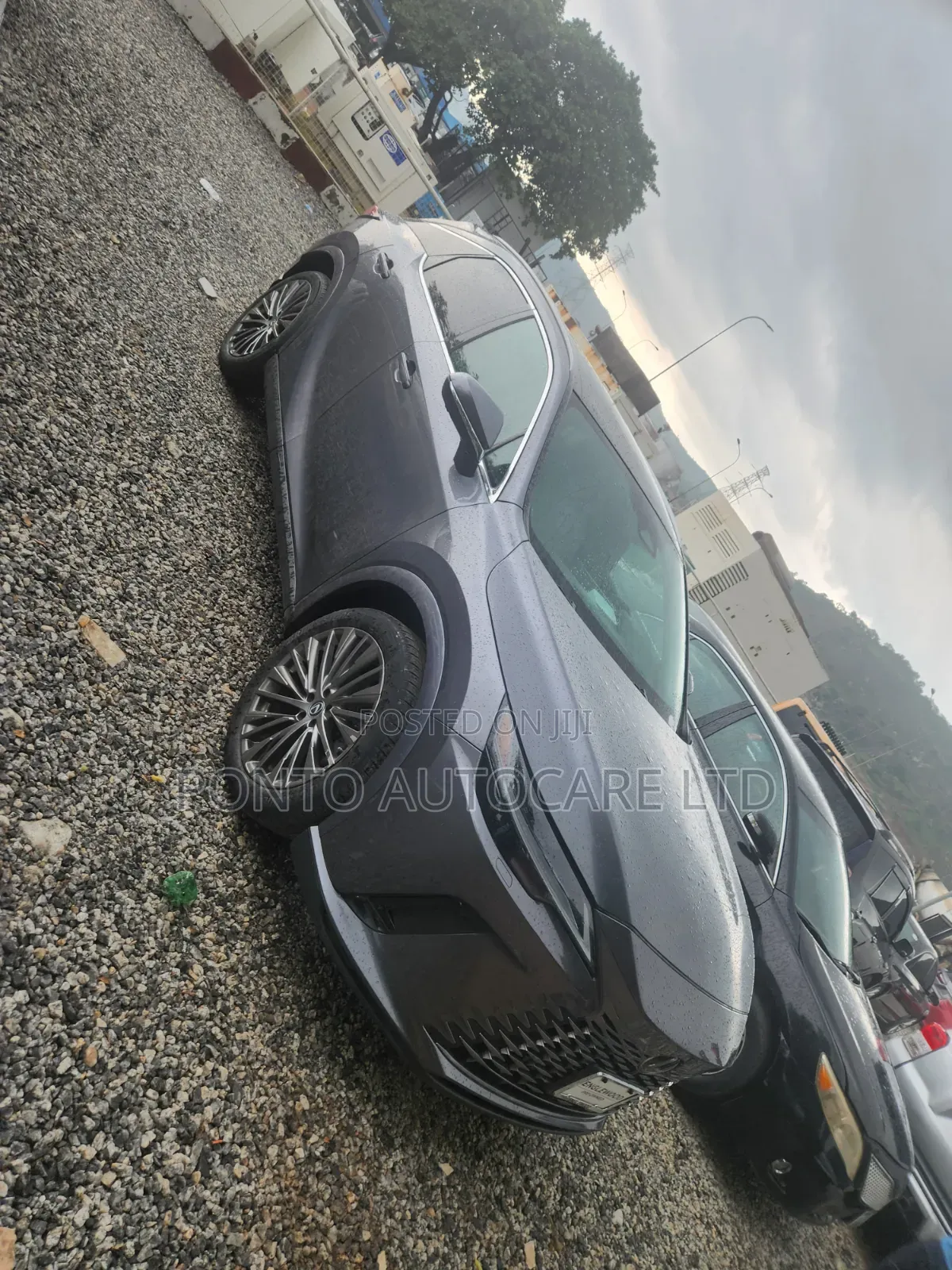 Toyota Corolla 2024 Gray