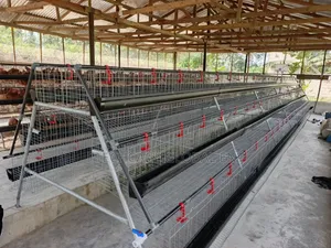 Poultry Battery Cages