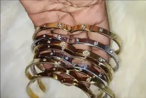 Luxury Stainless Steel Bangle Bracelet