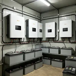 Solis S6-Eo1p5k 48V Energy Storage Inverter With Multiple Safety