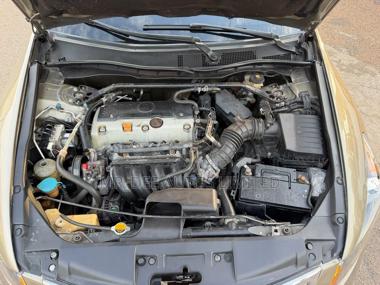 Honda Accord 2011 Gold