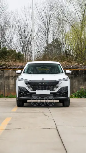 Aeolus Haohan 1.5T Zhishang 2026 White