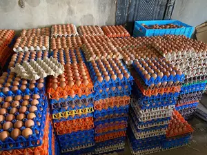 Poultry Farming