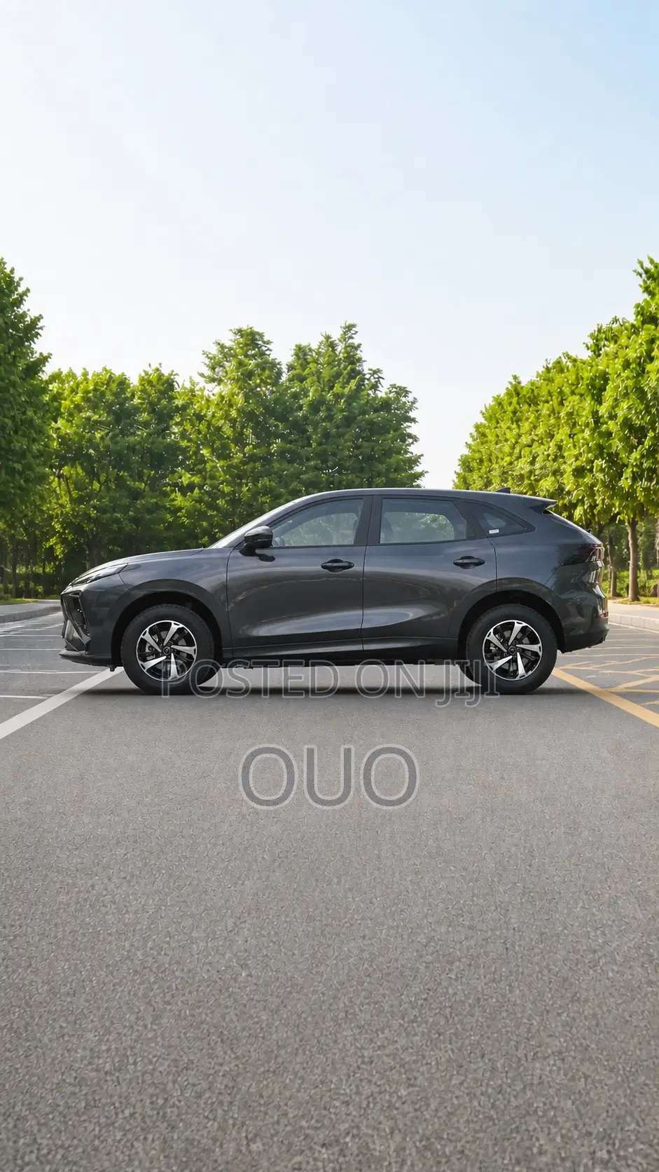 Forthing Leiting 2024 Black