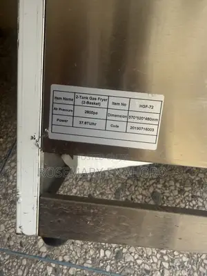 Commercial Gas Deep Fryer Double Tank