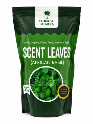 Dried Scent Leaf | Ocimum Gratissimum | African Basil
