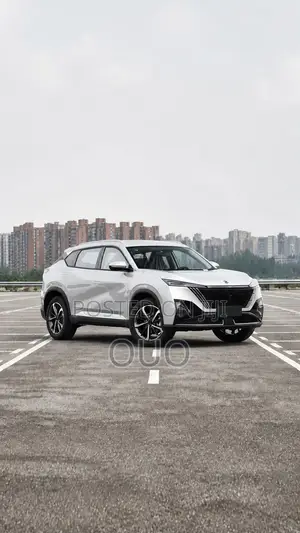 Aeolus Haohan 2023 Gray